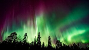 canadian visa expert norhern light